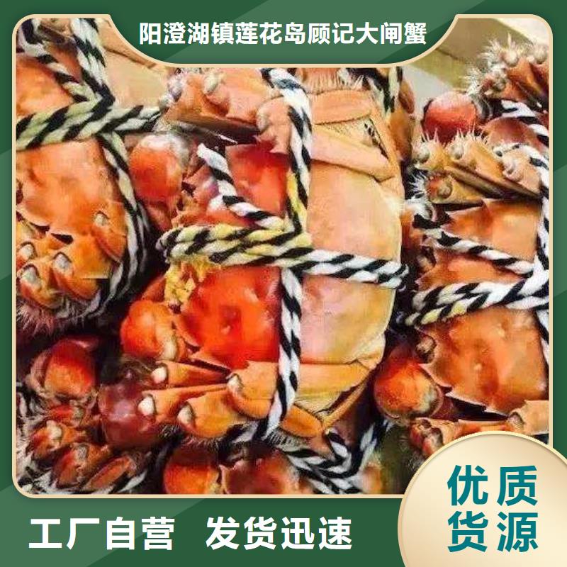发货速度快的阳澄湖大闸蟹生产厂家