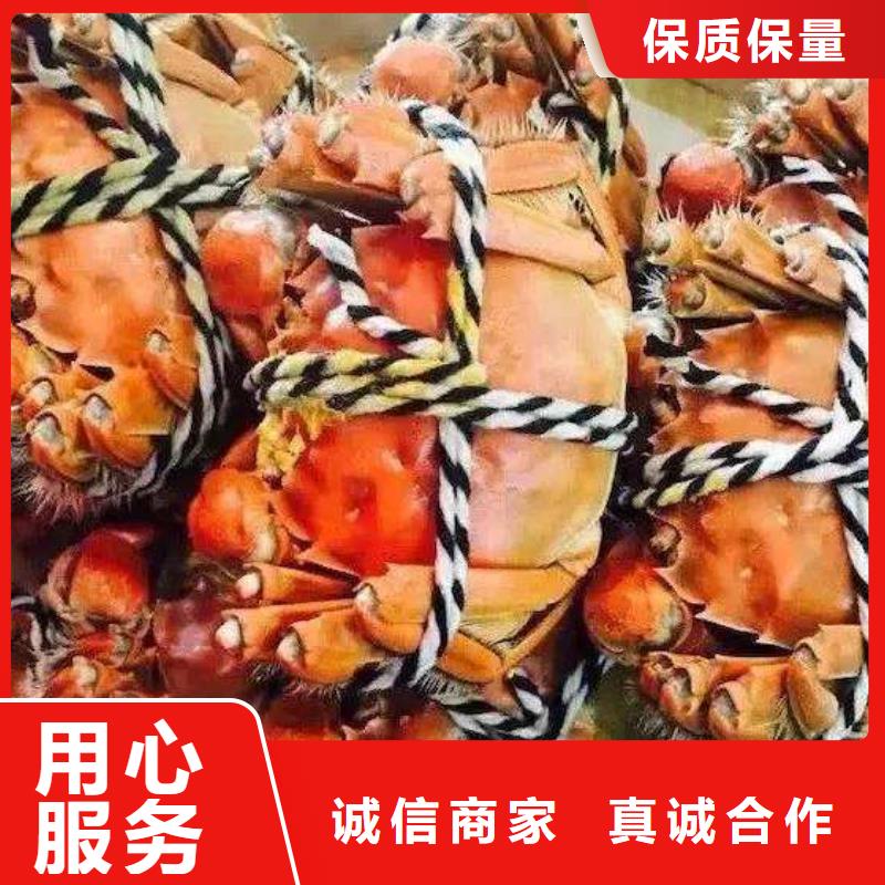 快速高效:陽澄湖大閘蟹廠家