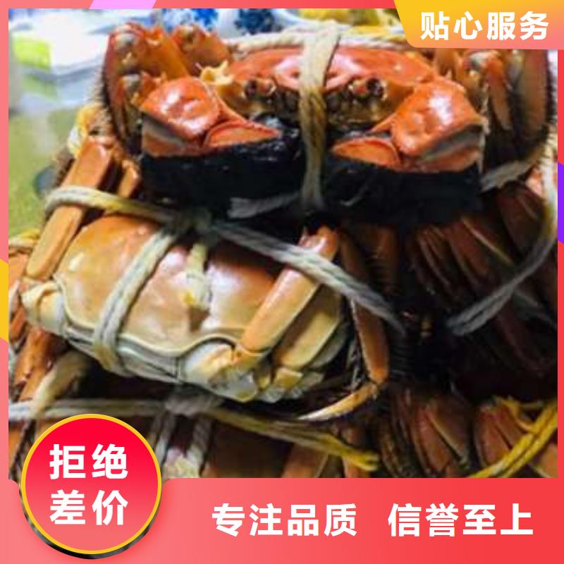 陽澄湖大閘蟹哪家好