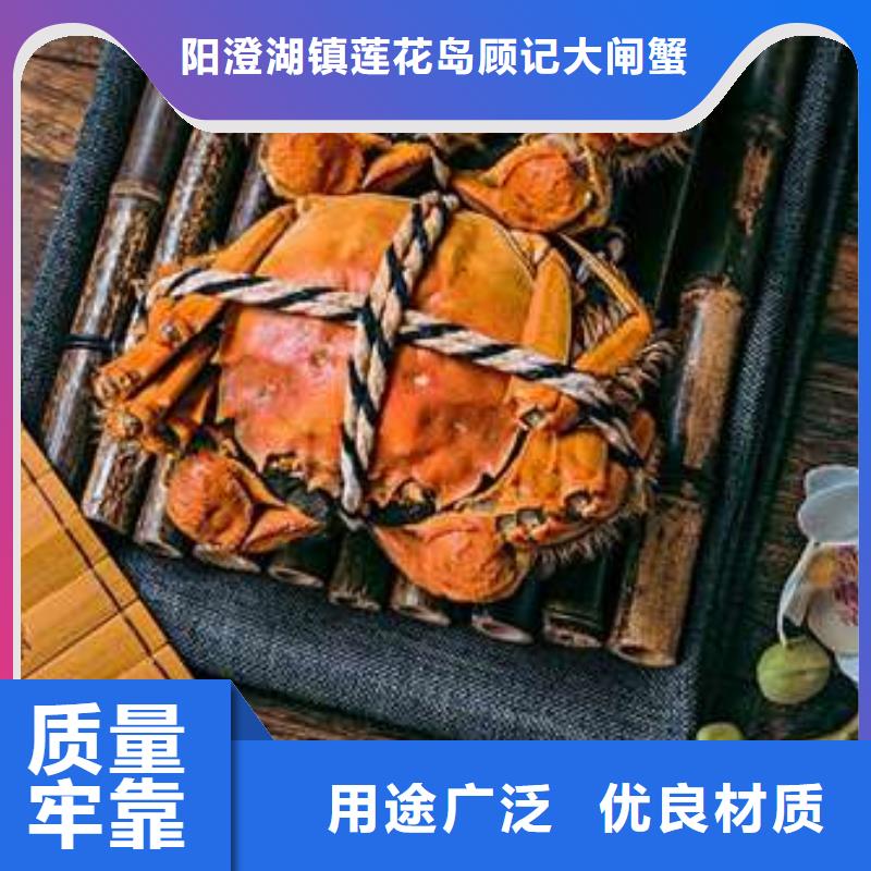 陽澄湖大閘蟹設計