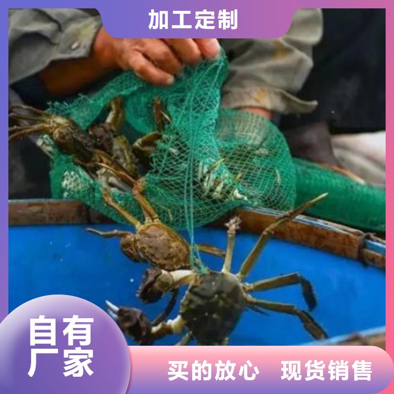 深圳市正宗陽(yáng)澄湖大閘蟹精裝禮品盒