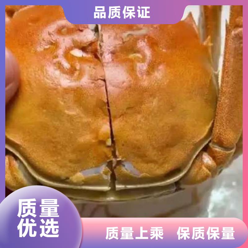 陽澄湖大閘蟹產品質量優良