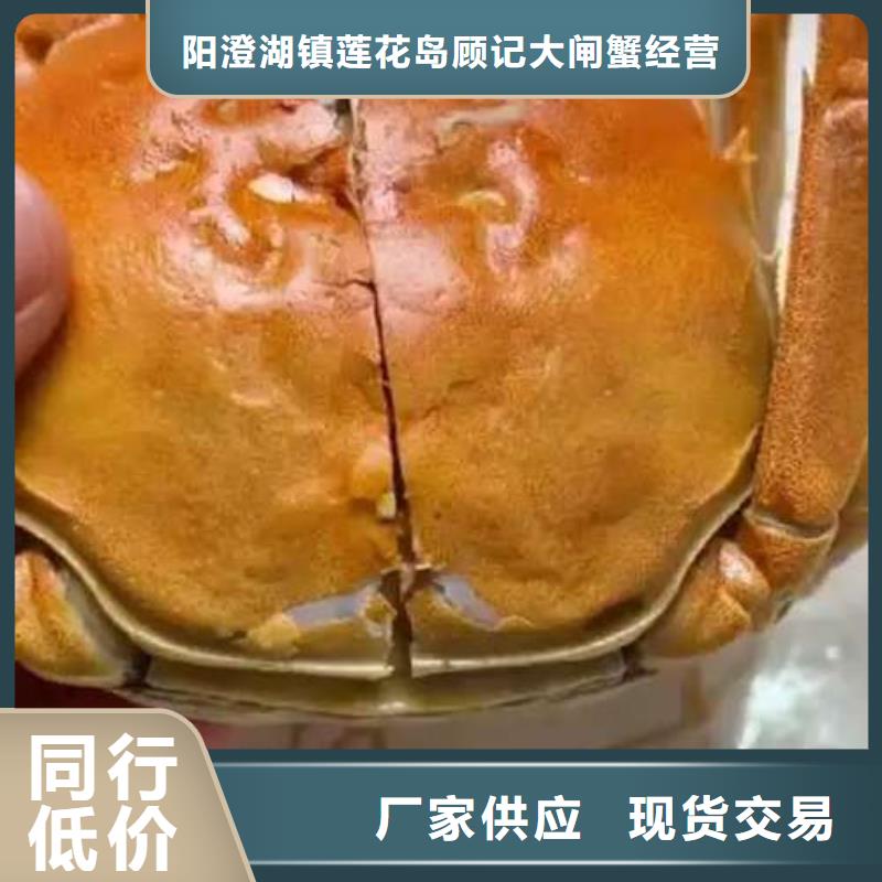 陽澄湖大閘蟹質量優異