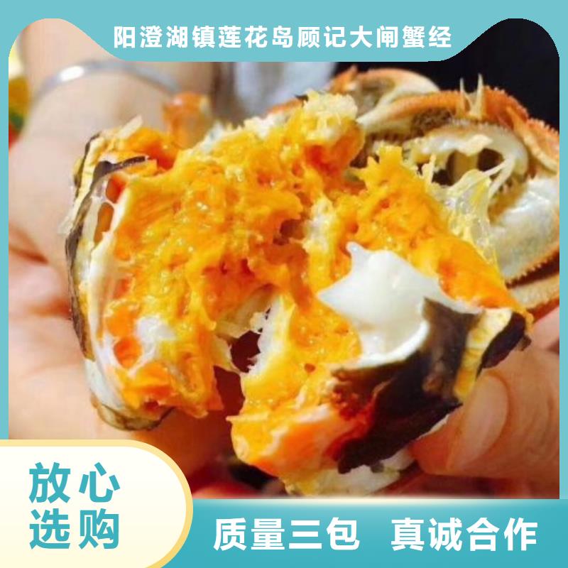 阳澄湖大闸蟹_量大从优
