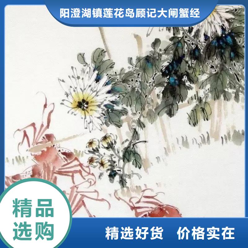 优质阳澄湖大闸蟹的批发商