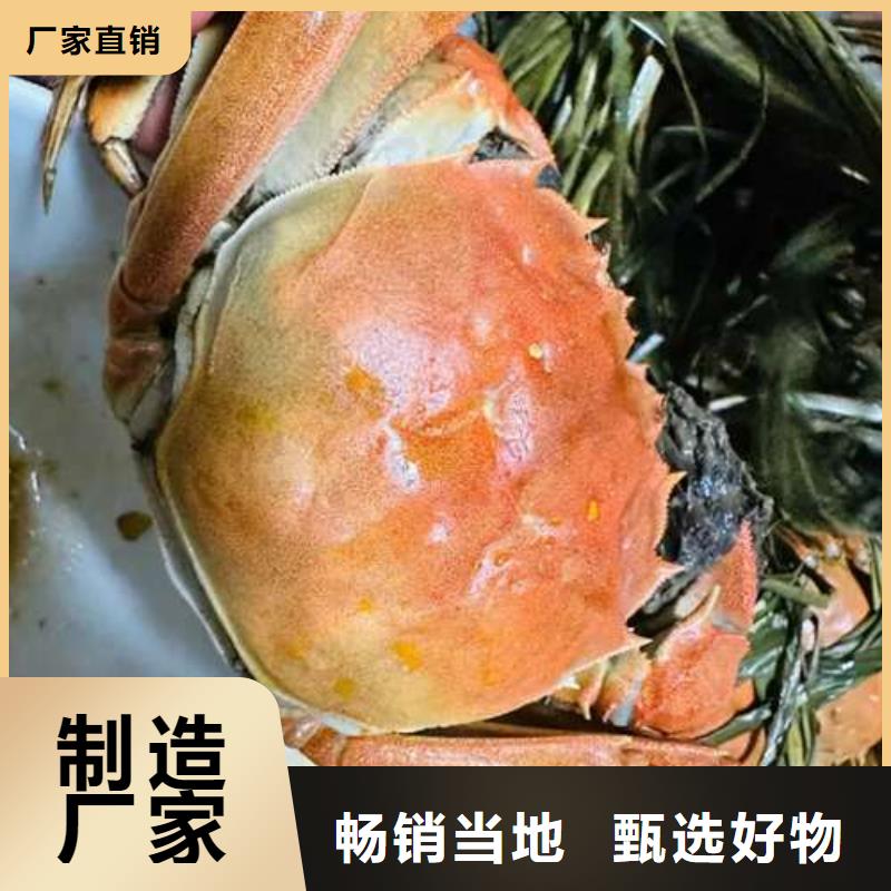 陽澄湖大閘蟹更多詳情點擊