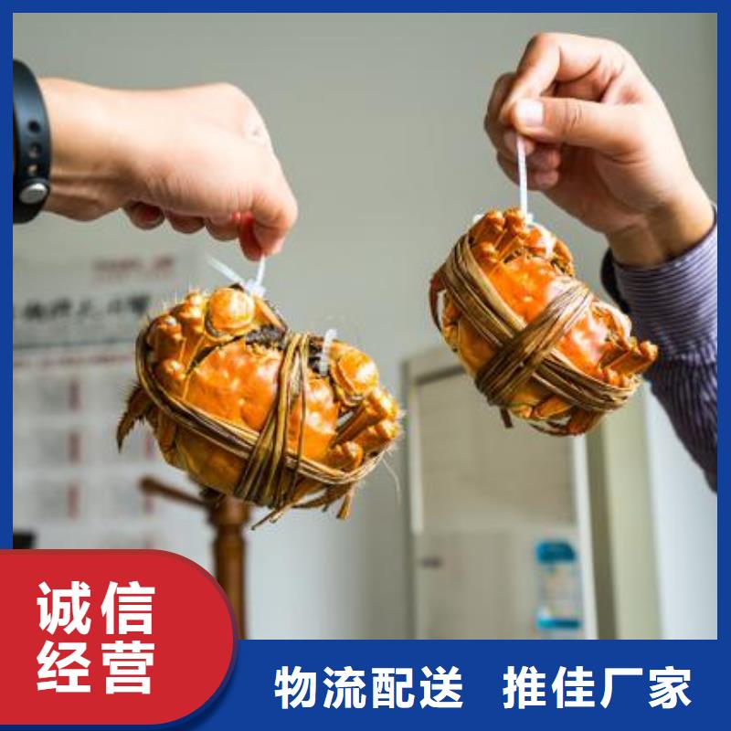 阳澄湖大闸蟹-实力厂家