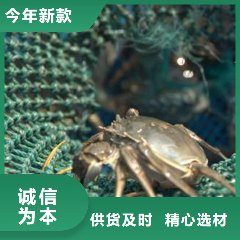 阳澄湖大闸蟹款式多样