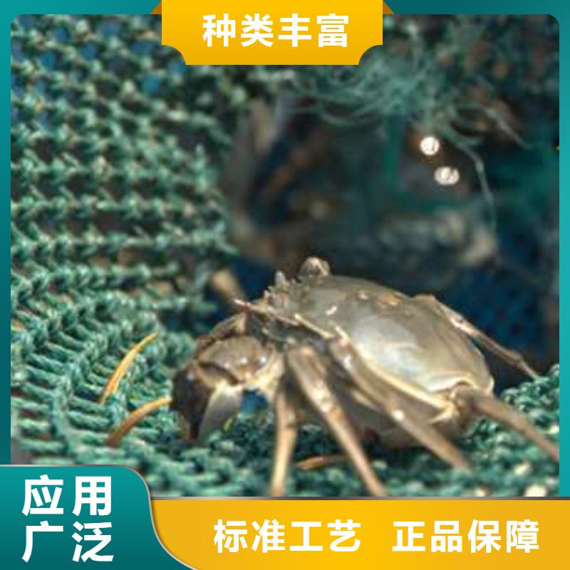 陽(yáng)澄湖大閘蟹廠家，現(xiàn)貨