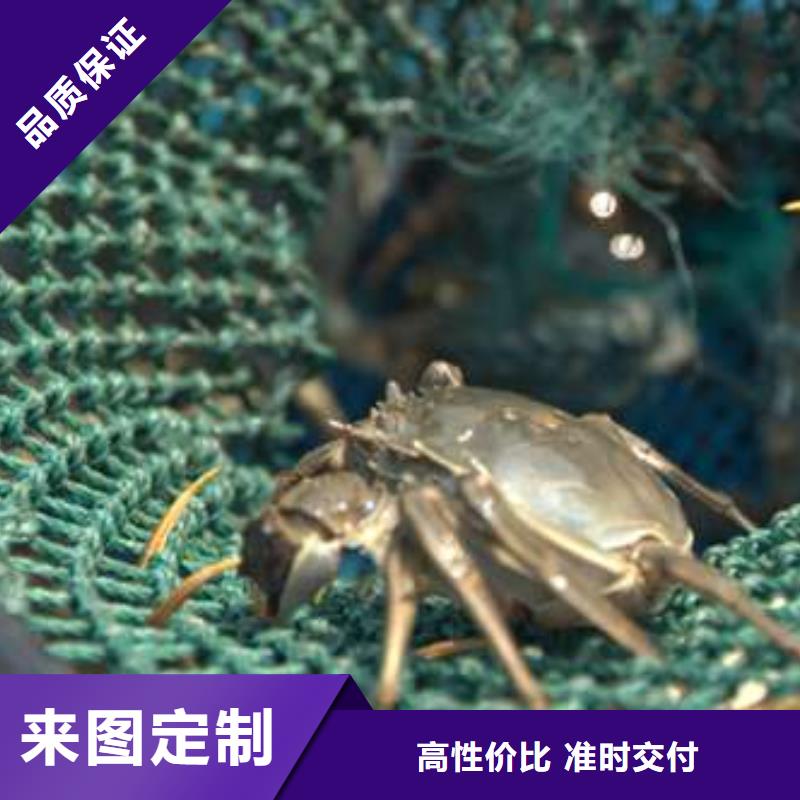 資訊：陽澄湖大閘蟹生產廠家