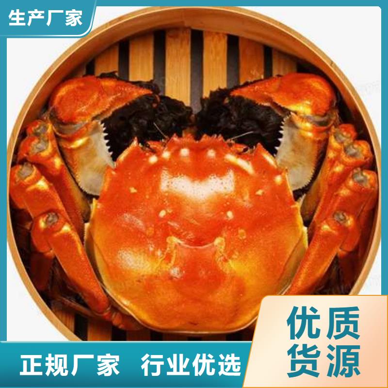 潮州市鲜活特大螃蟹价格