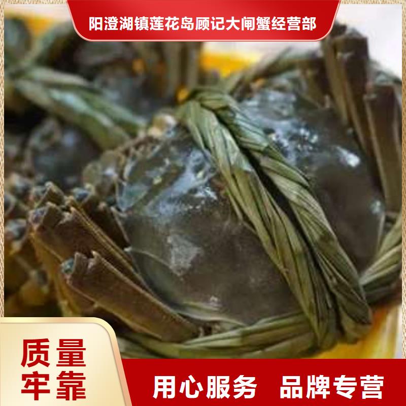 專業(yè)廠家直銷陽(yáng)澄湖大閘蟹