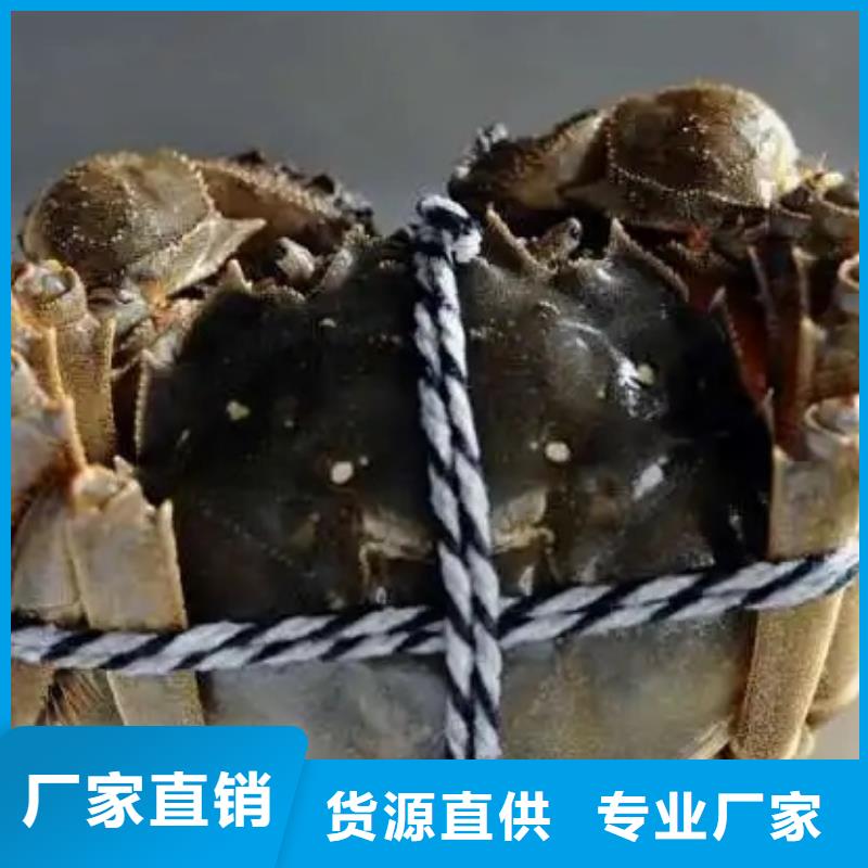 陽澄湖大閘蟹多種規格