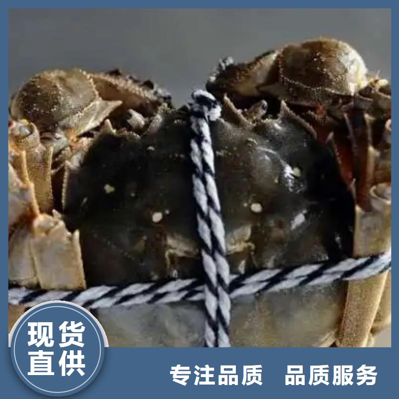 陽(yáng)澄湖大閘蟹工藝精湛