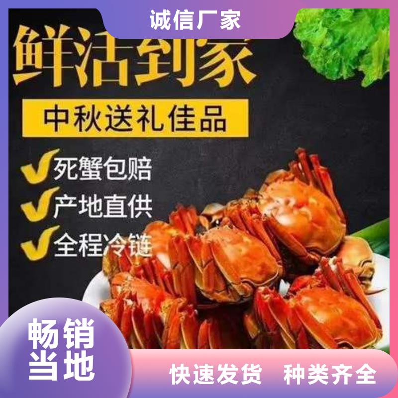 口碑好的陽澄湖大閘蟹廠家