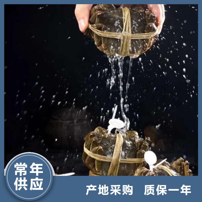 陽澄湖大閘蟹量大從優