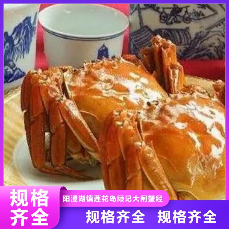 陽澄湖大閘蟹大規模廠家