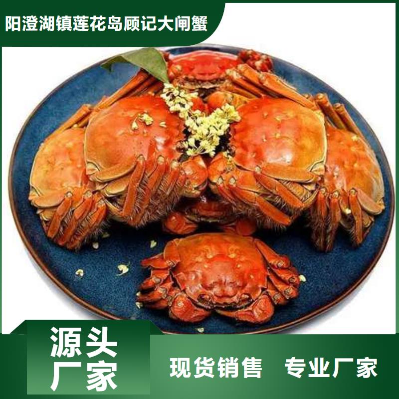 陽(yáng)澄湖大閘蟹生產(chǎn)廠家-型號(hào)齊全