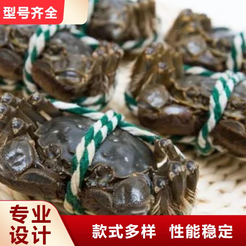 優(yōu)惠的陽澄湖大閘蟹生產(chǎn)廠家