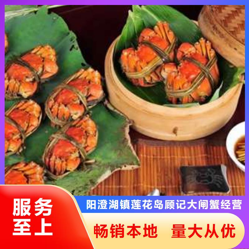 批發陽澄湖大閘蟹的當地廠家