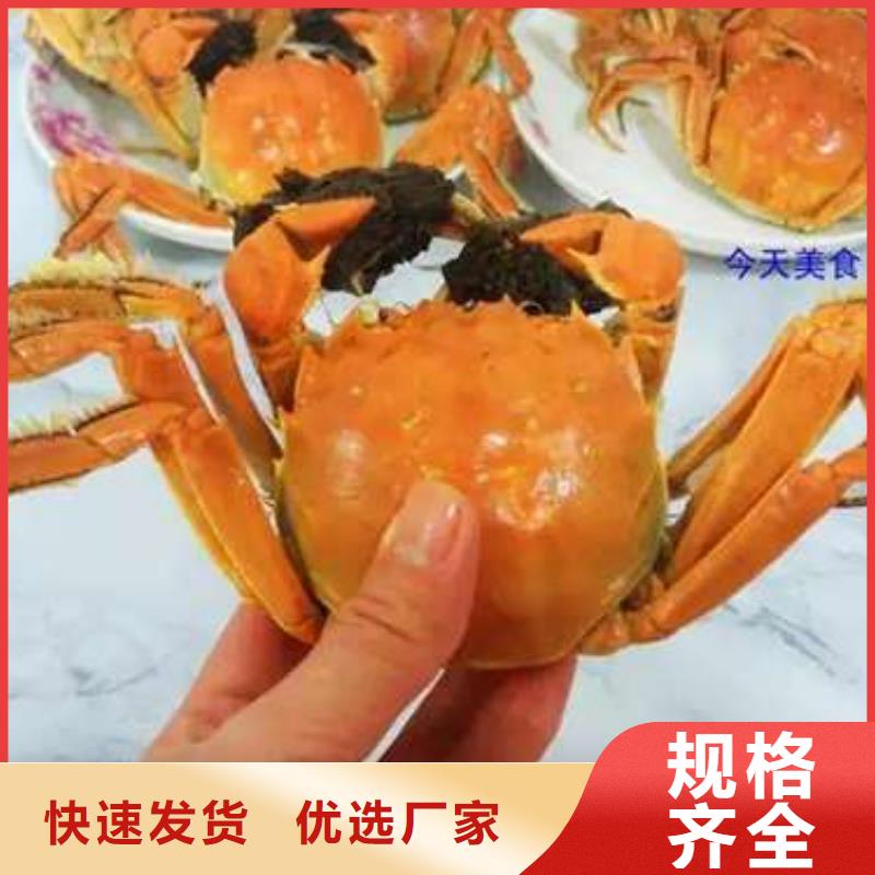 阳澄湖大闸蟹性价比高