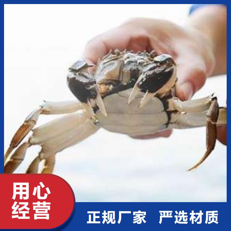 阳澄湖大闸蟹_我们是厂家