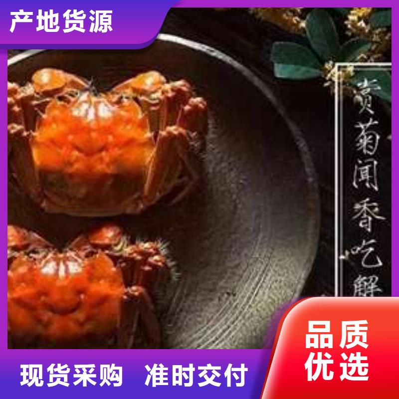 汕尾市南方大闸蟹团购价格