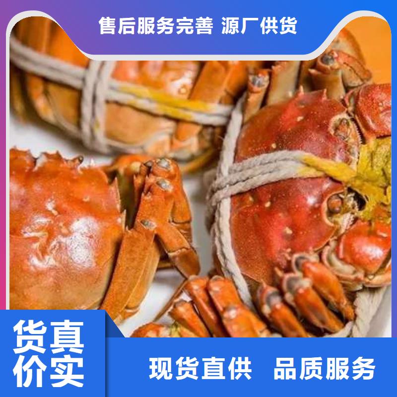 阳澄湖大闸蟹-值得购买