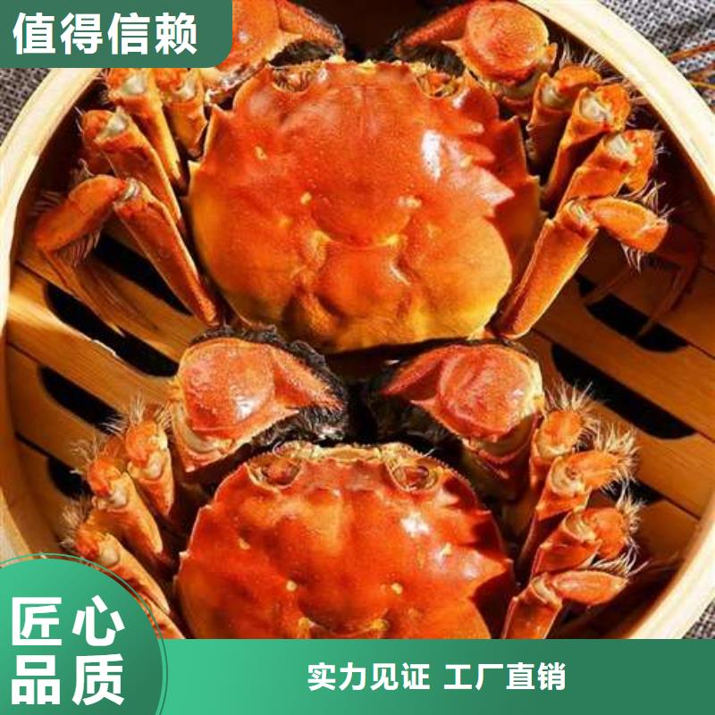 陽澄湖大閘蟹生產(chǎn)經(jīng)驗(yàn)豐富的廠家