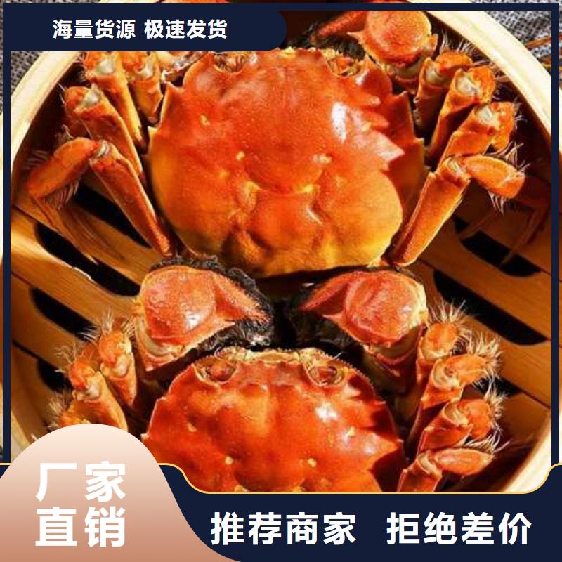 生產(chǎn)陽(yáng)澄湖大閘蟹的經(jīng)銷商