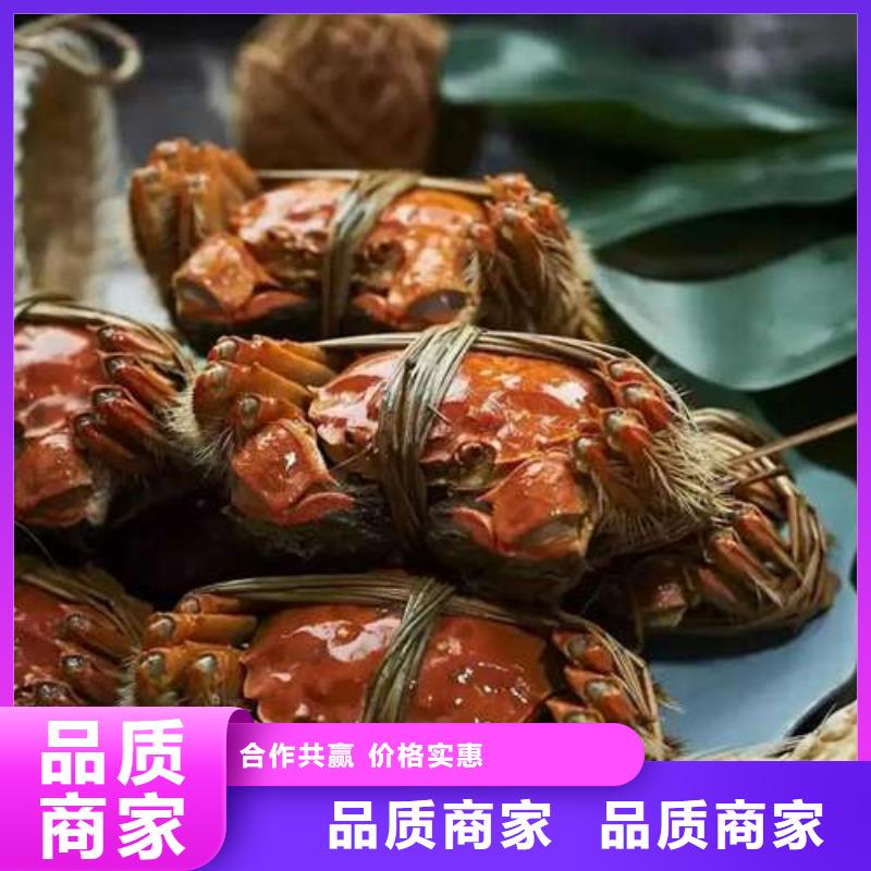 选购阳澄湖大闸蟹【无中间商】