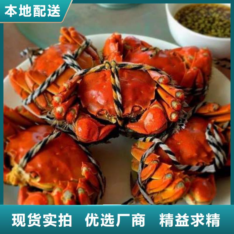 深圳市今天的螃蟹一只多少钱