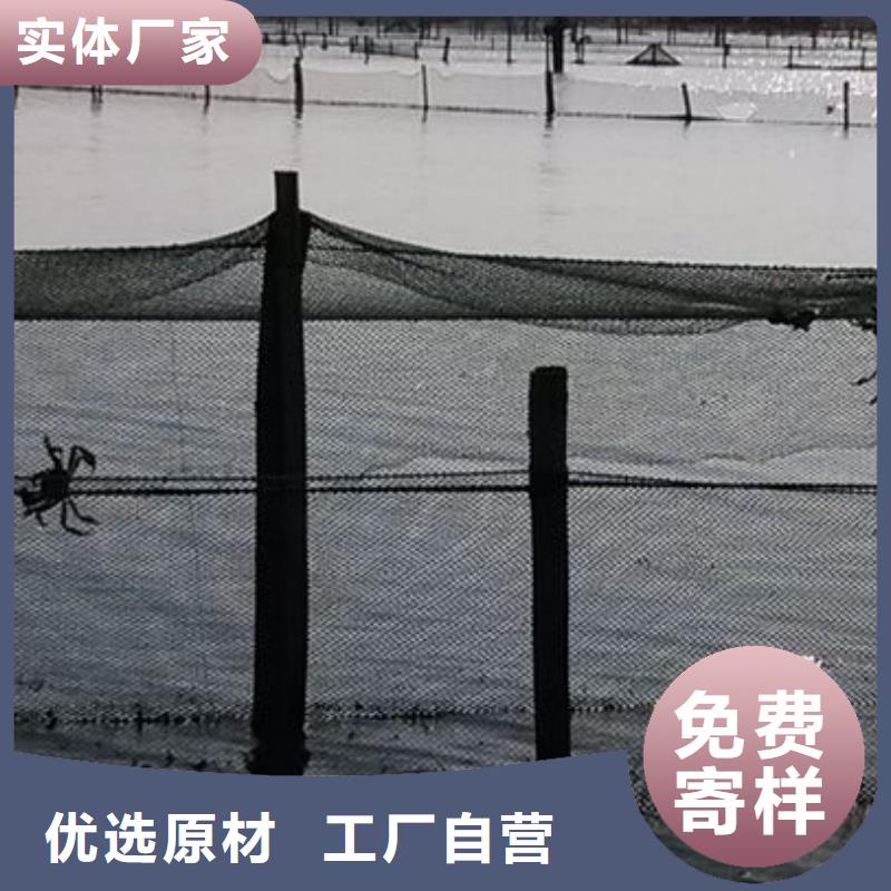 陽澄湖大閘蟹市場批發價