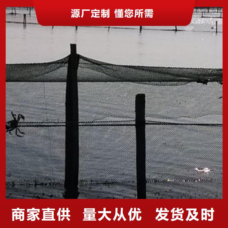 陽澄湖大閘蟹現貨上市
