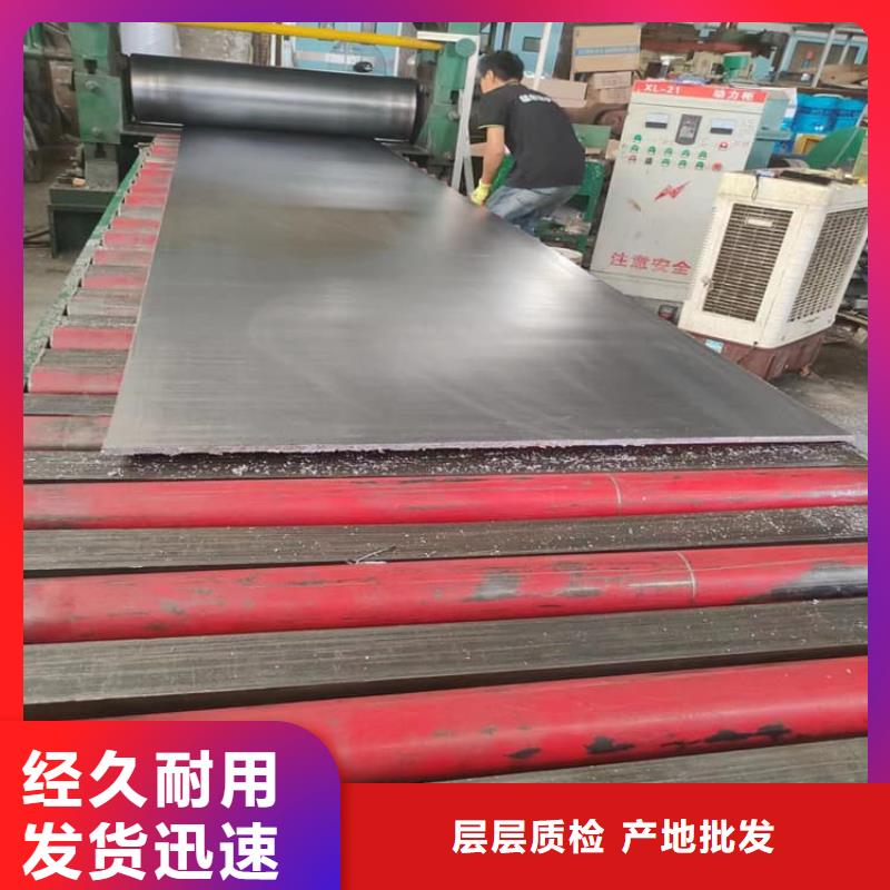 寵物防護鉛皮本地正規大廠