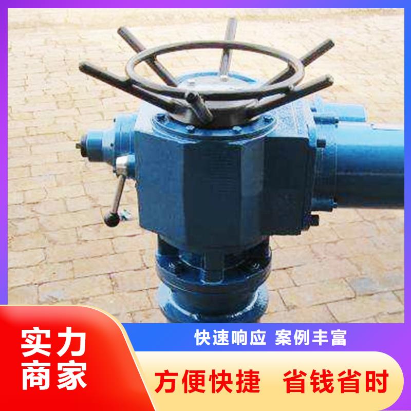 雙吊啟閉機(jī)廠家-找瑞鑫水工機(jī)械廠