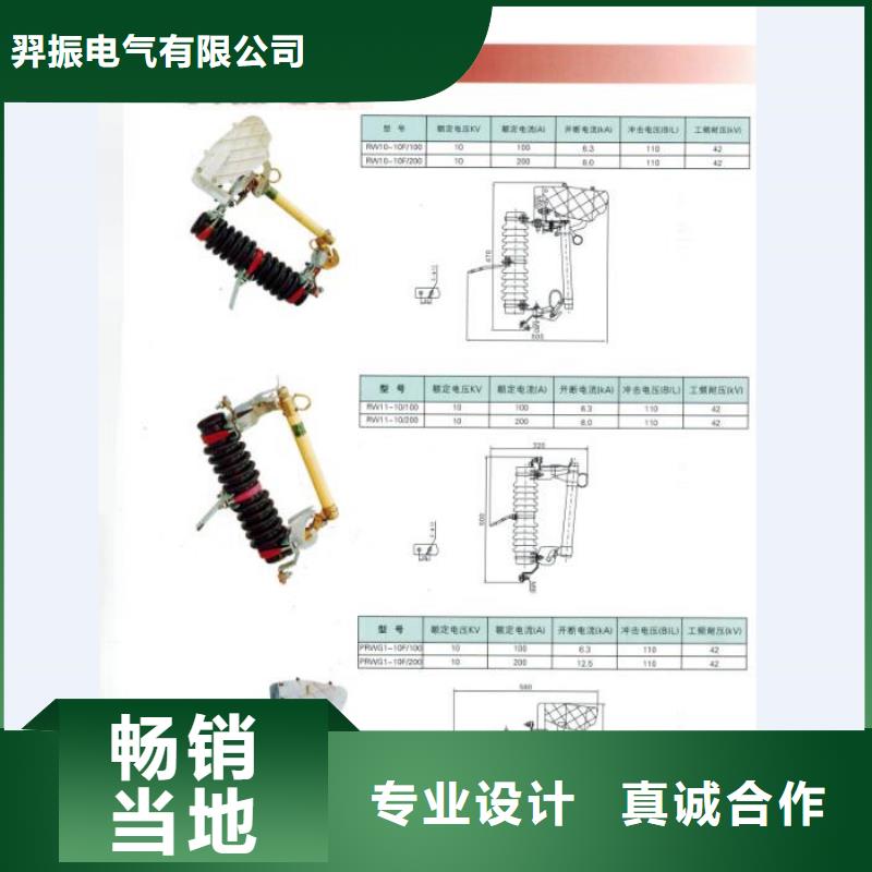 【熔断器跌落式熔断器专业设计】