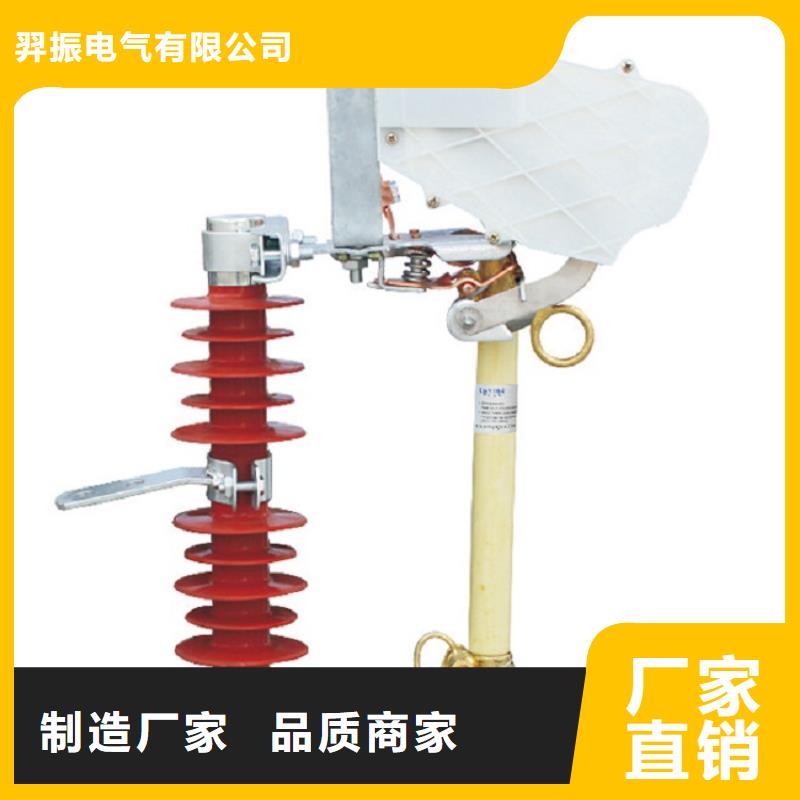 高壓熔斷器/RW7-12KV/100