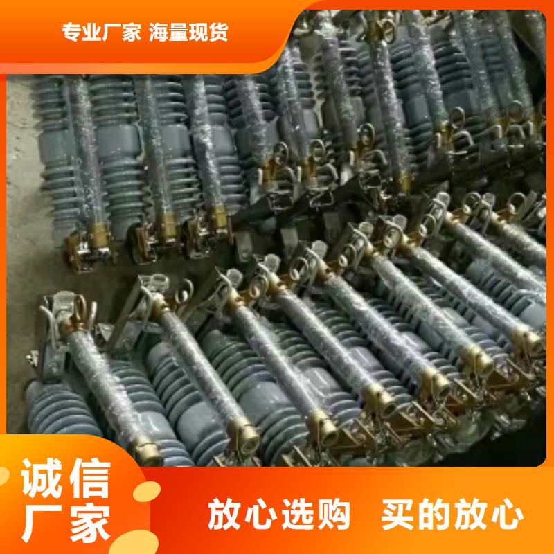 高压熔断器/FSC-10/100A【浙江羿振电气有限公司】