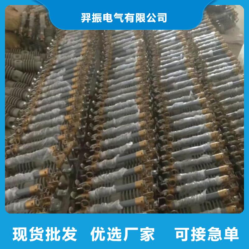 跌落式开关.跌落保险RW15-10KV/100