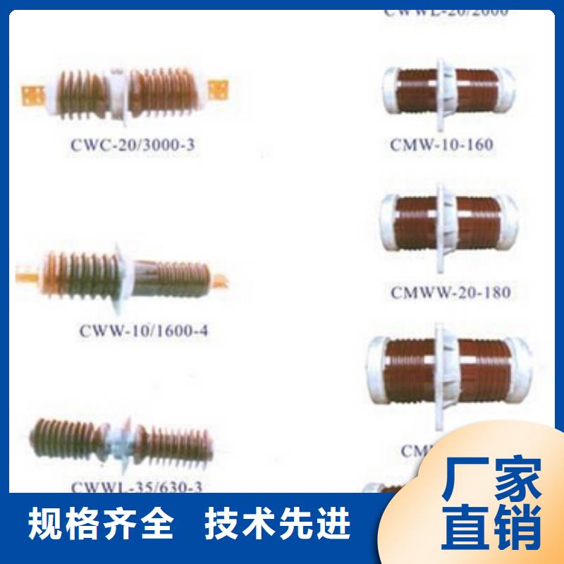 高压隔离开关绝缘子价格实在