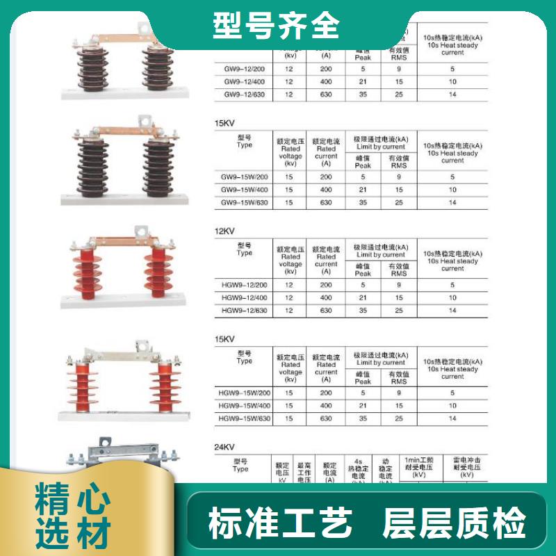 【高壓隔離開關金屬氧化物避雷器品種全】