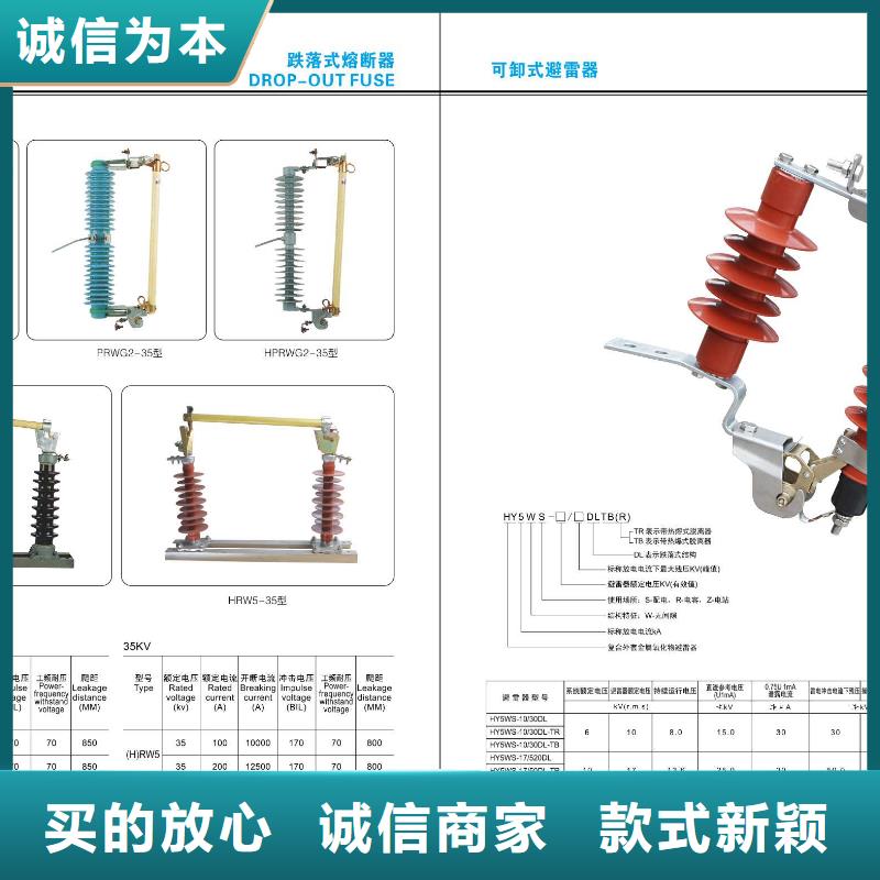 【高压隔离开关金属氧化物避雷器我们更专业】