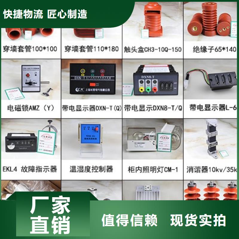 【高壓隔離開關】35KV真空斷路器專注品質