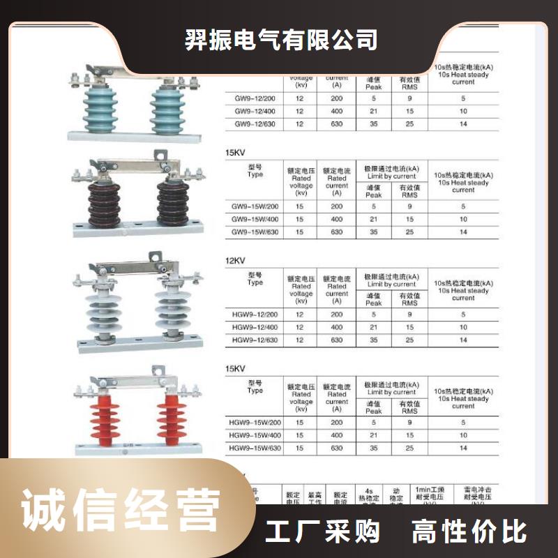 高壓隔離開關(guān)真空斷路器專業(yè)生產(chǎn)團隊