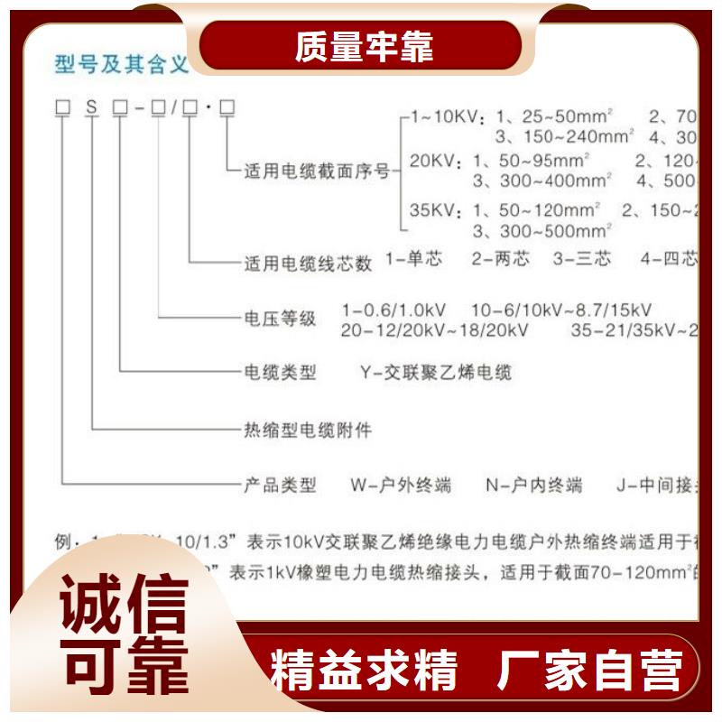 戶外熱縮電纜終端頭RSWY-1/1-35KV