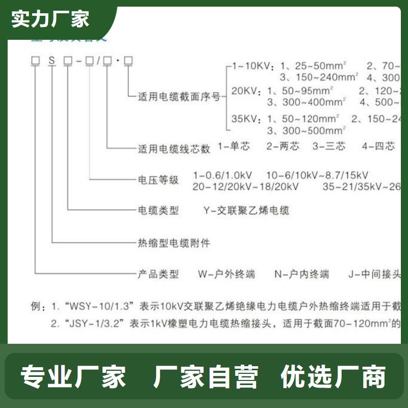 冷縮式電纜終端頭10KVLSN-3/4