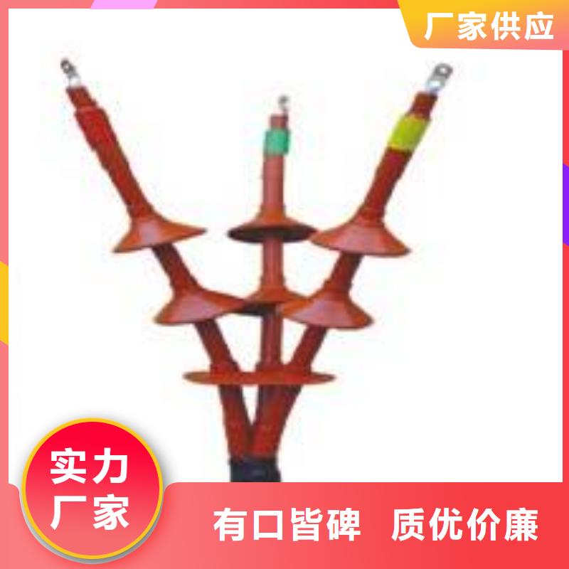 冷縮式電纜終端頭NLS-20/3.4