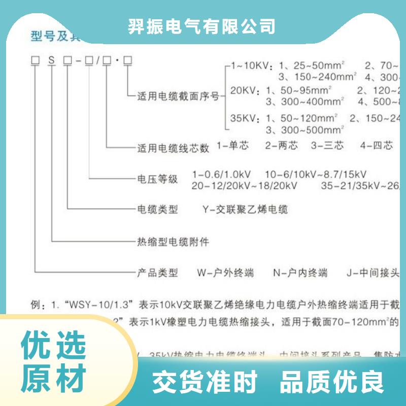 戶外熱縮電纜終端頭RSWY-1/1-35KV