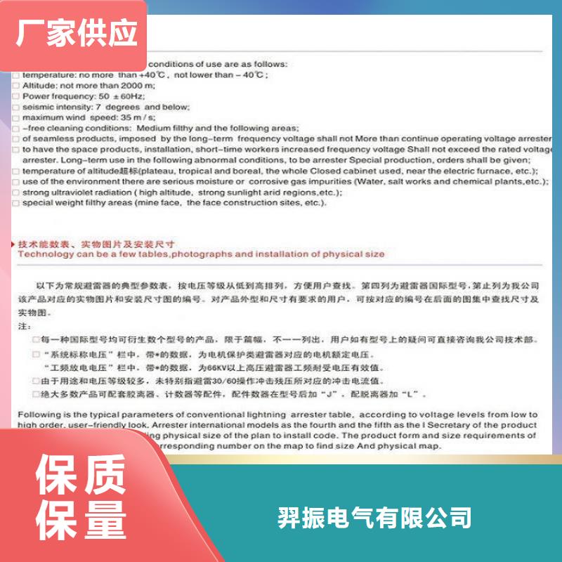 避雷器YH10CX5-90/235，放電計數器